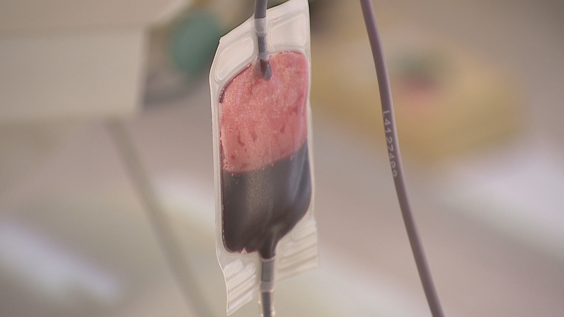 Hemocentro de Santarém promove campanha de doação neste sábado, 12