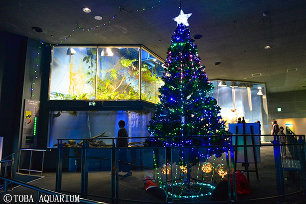 Japão usa enguias para acender árvore de Natal | Mundo | G1