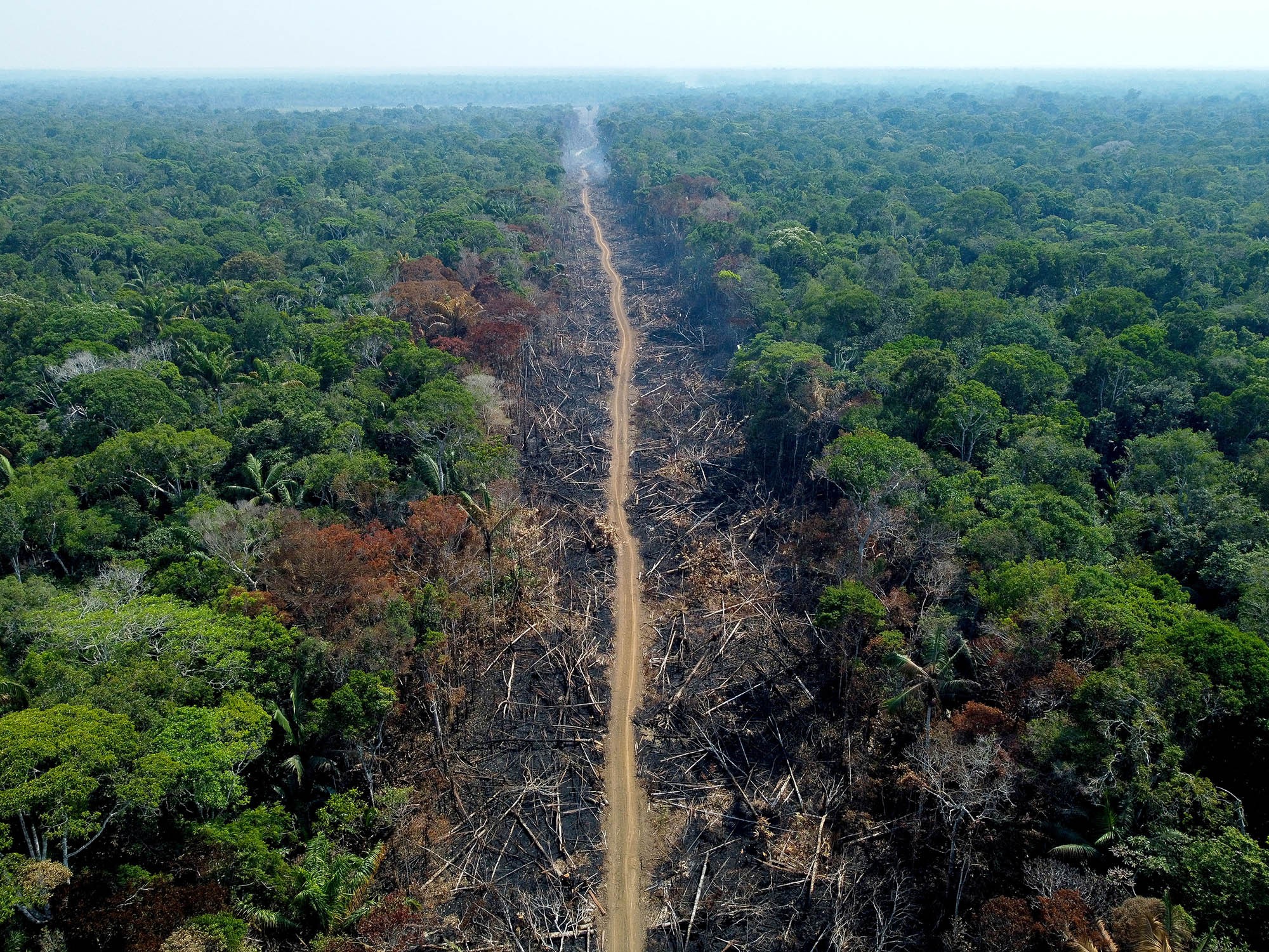 Amazonas tem pior novembro dos últimos 13 anos em número de queimadas