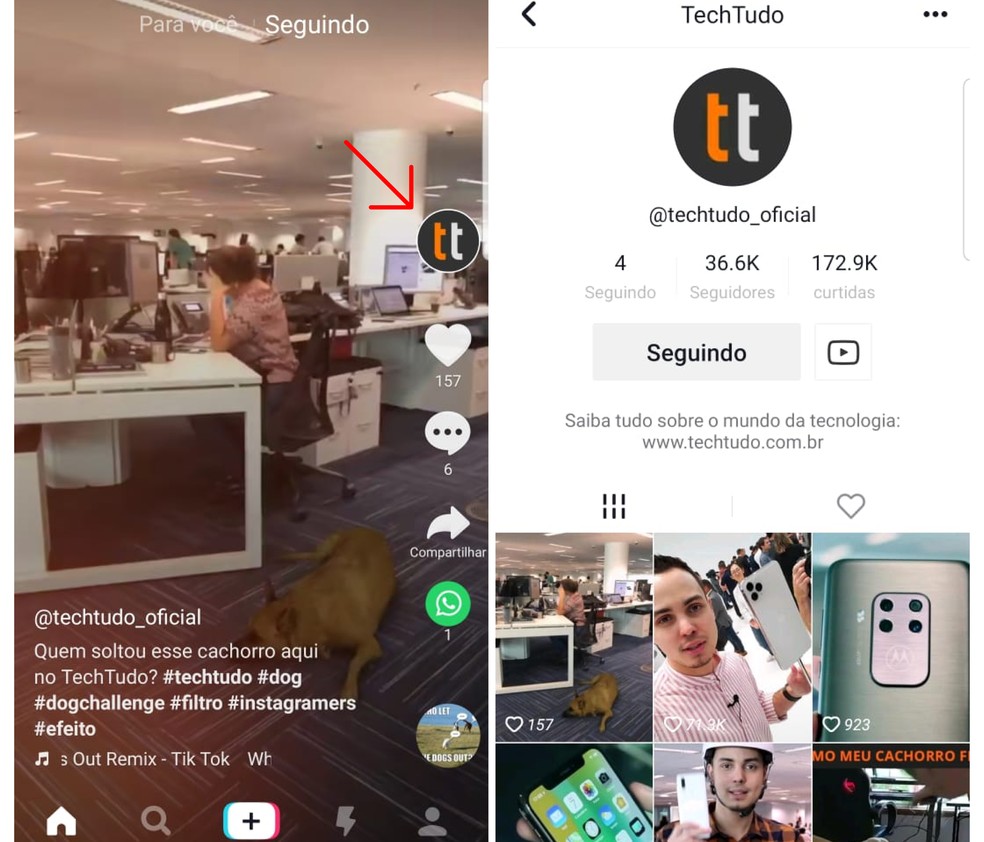 Siga perfis no TikTok Lite — Foto: Reprodução/Emanuel Reis