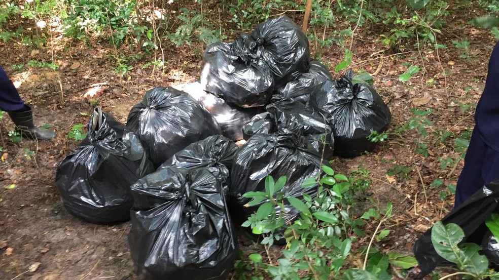 Mais de 15 sacos foram enchidos com lixo encontrado — Foto: Divulgação