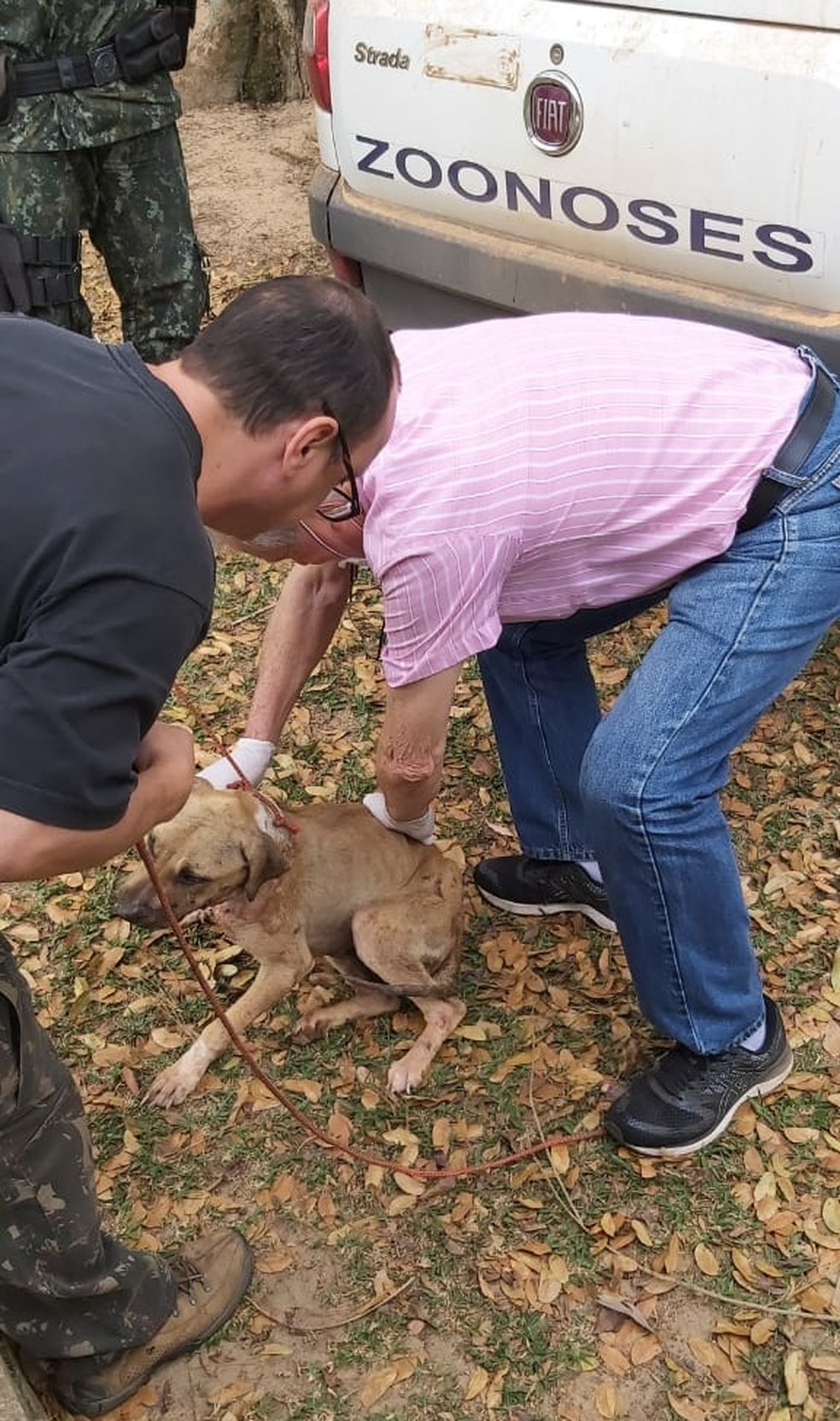 Equipe da Zoonoses de Itu resgatou quatro cães que estavam sob situação de maus-tratos — Foto: Divulgação/Polícia Militar Ambiental