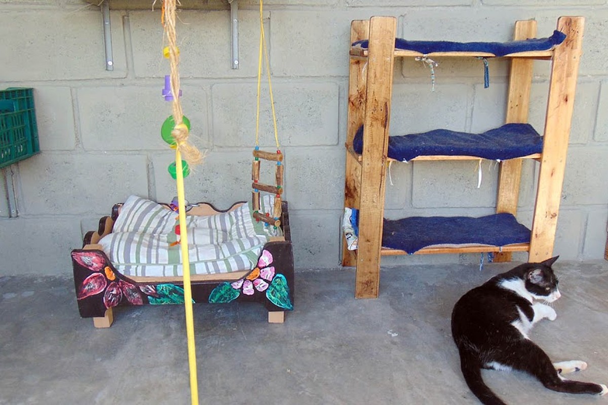 Bichos na Escuta #51: o gatil que ajuda detentos na ressocialização |  Bichos na Escuta