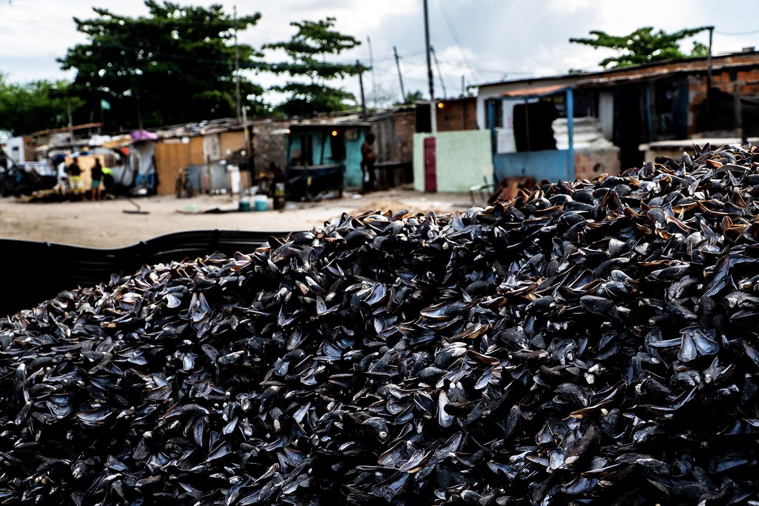 A pesca do sururu é a principal fonte de renda de várias comunidades do estado e gera uma quantidade enorme de resíduos que foram transformados em produto com o projeto (Foto: Pointer / Divulgação)