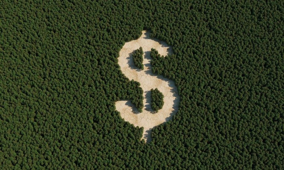Uma das formas mais habituais de compensar emissões de carbono é pela regeneração de florestas, o que pode trazer investimentos vultosos para países em desenvolvimento