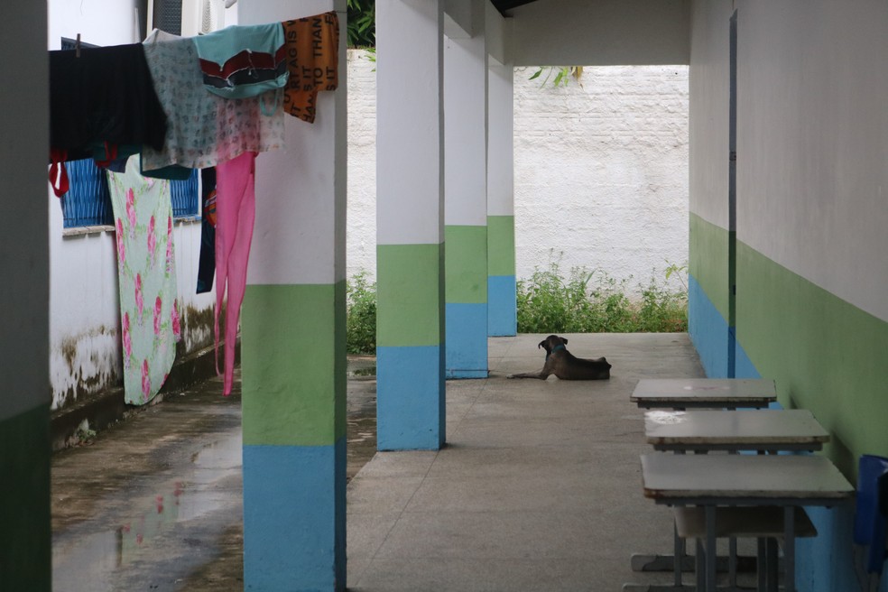 Escolas viram verdadeiras casas para teresinenses que foram vitimas das fortes chuvas no PI — Foto: Lívia Ferreira/g1 PI
