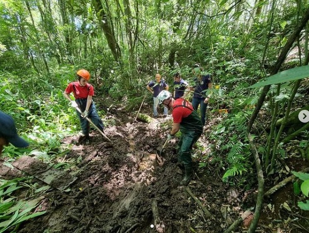 Corpo de mulher foi achado em uma área de mata, enterrado — Foto: Polícia Científica/Divulgação