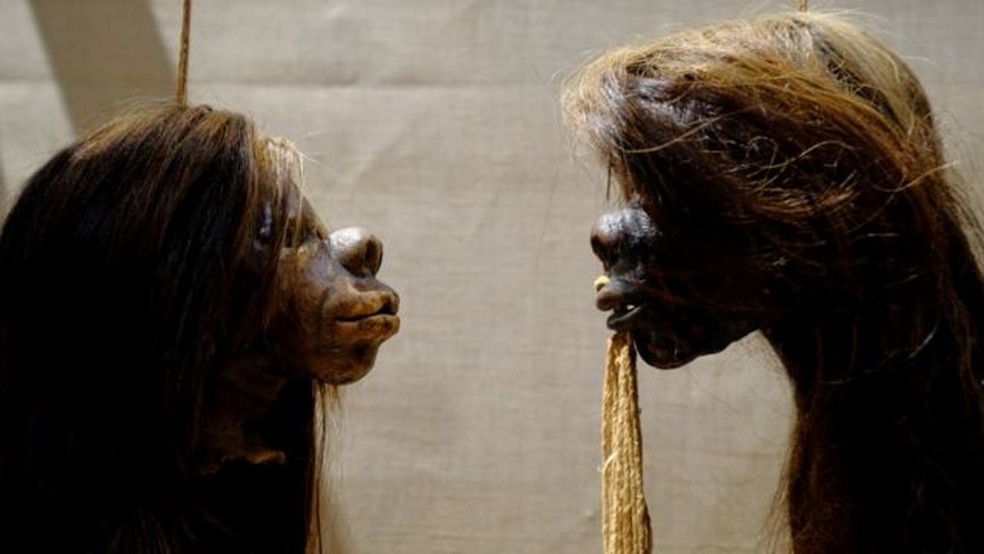 As tsantsas eram feitas por povos indígenas da Amazônia peruana e equatoriana — Foto: Pitt Rivers Museum/University of Oxford via BBC