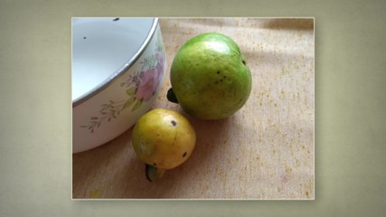 A goiaba tá na safra e a gente tem a - Orquídea Alimentos