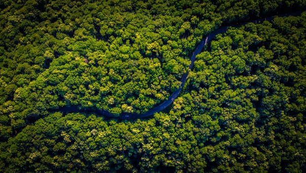 Amazônia, floresta, meio ambiente,  (Foto: Unsplash)
