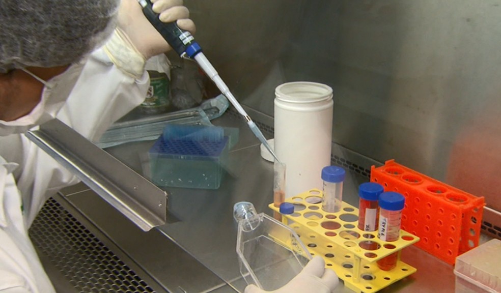 USP passa a realizar testes para diagnosticar coronavírus no estado de São Paulo. — Foto: Reprodução EPTV