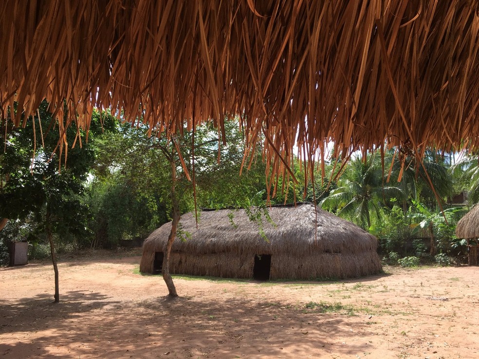 Sítio ecológico preserva culturas indígenas e biodiversidade em Natal 