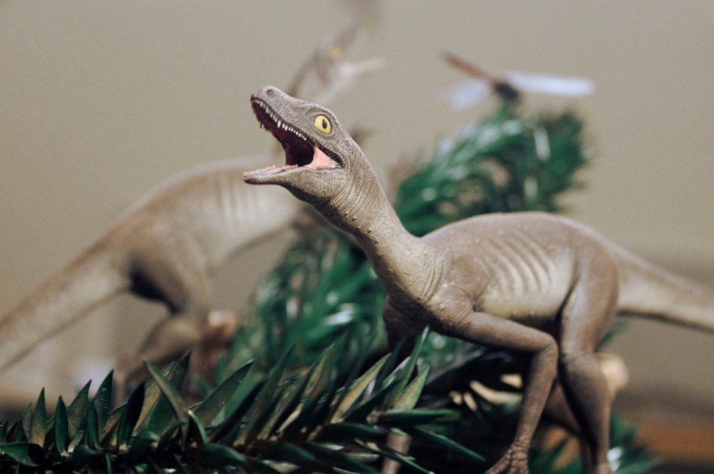 Pesquisadores identificam novo réptil brasileiro de 225 milhões de anos — Foto: Márcio L. Castro/Ilustração