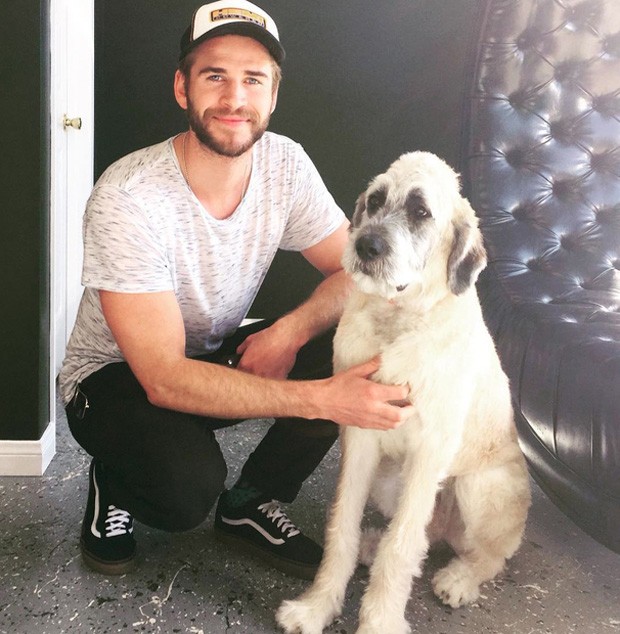 Liam Hemsworth e sua nova cachorrinha (Foto: Reprodução/Instagram)