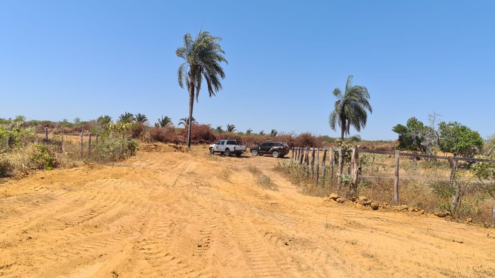 A Polícia Federal flagrou o desmatamento ilegal de 44 hectares de uma área que pertence a APA Araripe, no município de Santana do Cariri.  — Foto: Polícia Federal