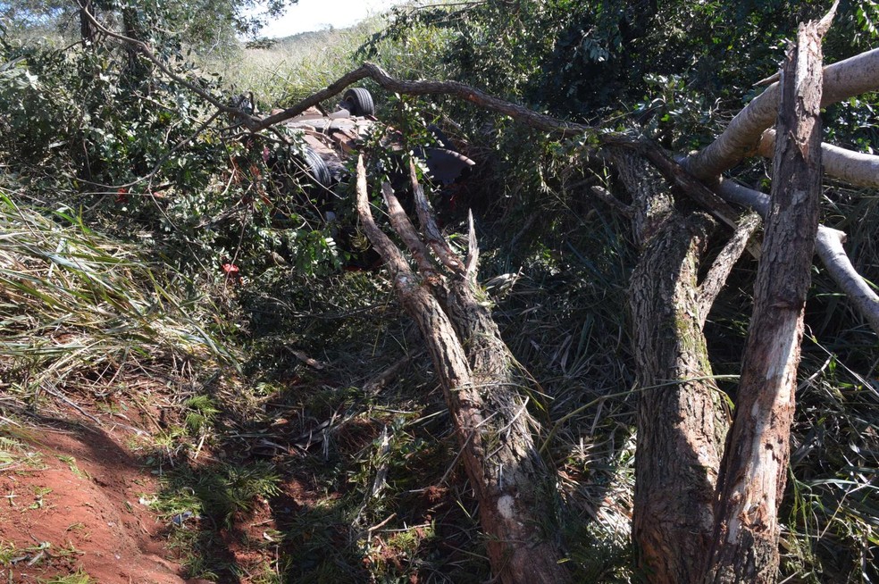 Veículo bateu em uma árvore antes de cair na ribanceira  (Foto: Manoel Moreno / i7 Notícias )