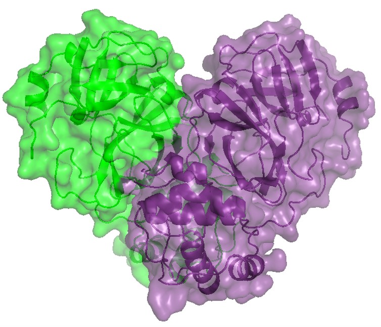 Imagem em 3D de proteína do novo coronavírus obtida no Sirius. (Foto: Divulgação/CNPEM)