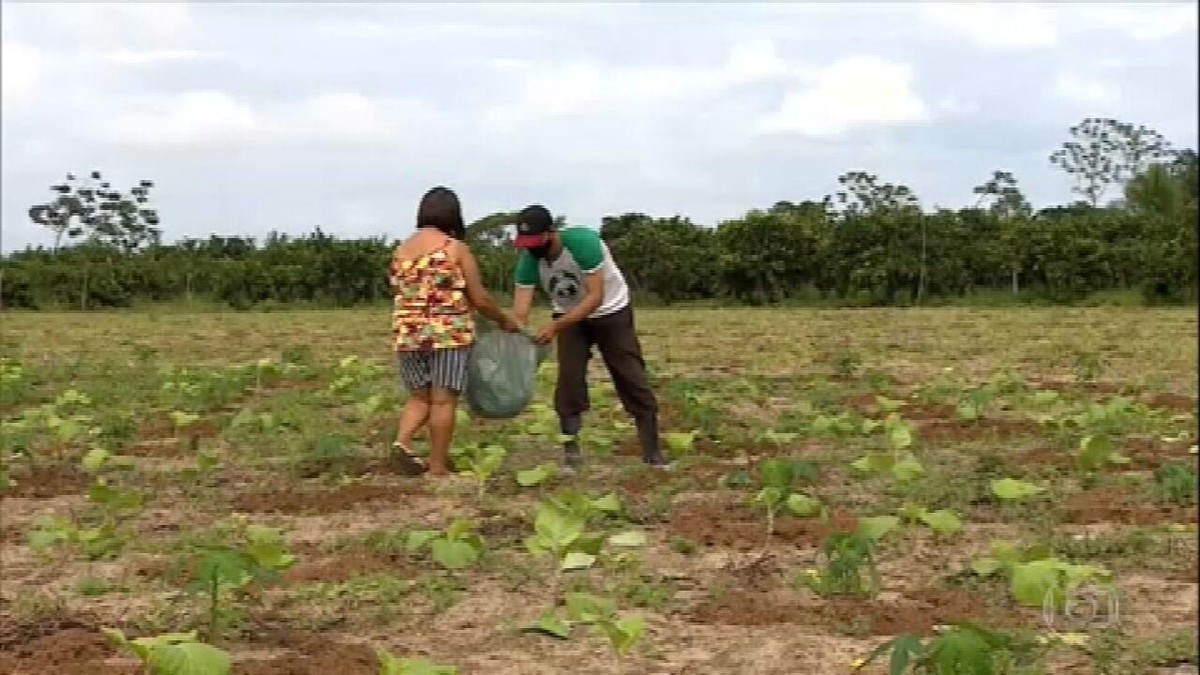 Agricultores com dificuldades de escoar a produção recorrem a auxílio do governo thumbnail