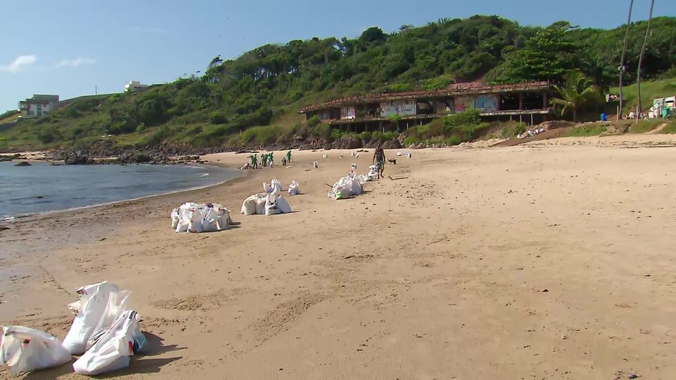Sacos espalhados em trecho da Praia de Itapuama, no Cabo de Santo Agostinho, onde voluntários ajudam na limpeza do óleo — Foto: Reprodução/TV Globo