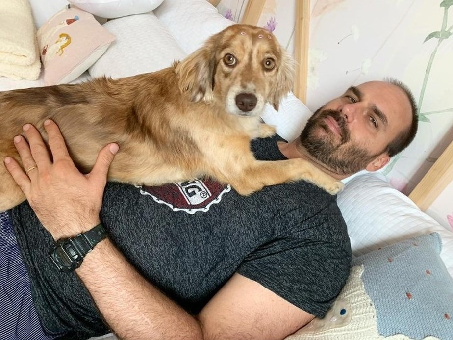 A cadela vira-lata Beretta, do deputado federal Eduardo Bolsonaro, também foi transportada por aviões da FAB