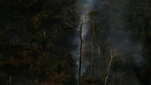 Amazônia; meio ambiente; queimadas (Foto: Reuters/Ricardo Moraes/Direitos Reservados)