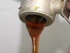 Estiagem atrapalha produção de mel no sul do Ceará