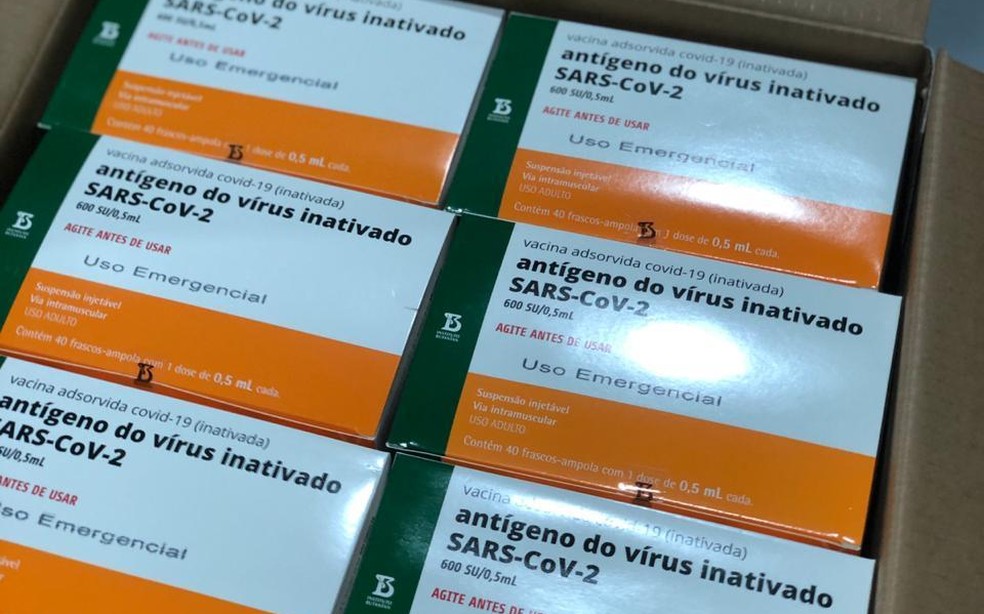 Primeiras doses da vacina Coronavac chegarão na quarta-feira (19) — Foto: SES/Divulgação