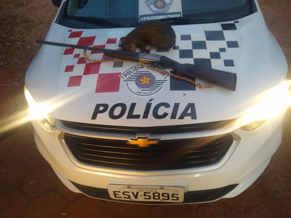 Cutia abatida e arma de fogo foram localizadas no carro do homem e apreendidas — Foto: Polícia Militar