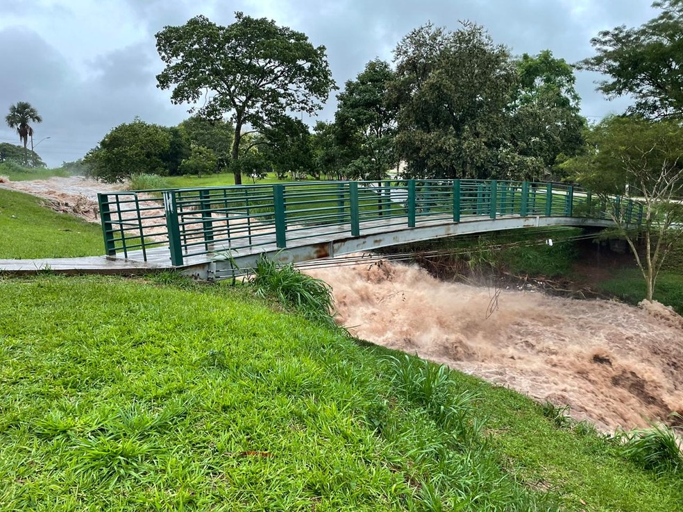 Água da chuva faz aumentar nível da água no Parque Linear do Córrego Lagoinha em Uberlândia — Foto: Eudes Arduini/Arquivo Pessoal
