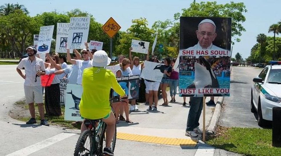 Ativistas pedem há anos a libertação de Lolita — Foto: Getty Images