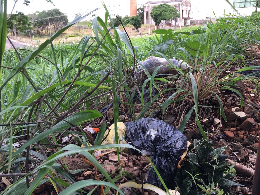 Ferrovia est&aacute; abandonada em Presidente Prudente (Foto: Wellington Roberto/G1)