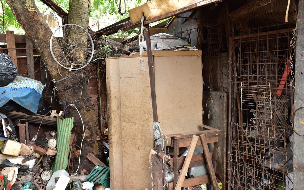 Materiais foram retirados de casa de idoso- acumulador em Ribeiro Preto, SP  Foto: Laura Scarpelini/G1