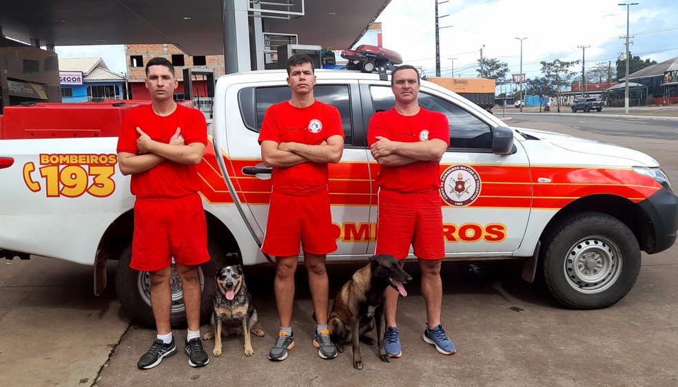 Bombeiros e cadelas ajudaram nas buscas em Pernambuco — Foto: Bombeiros/Divulgação