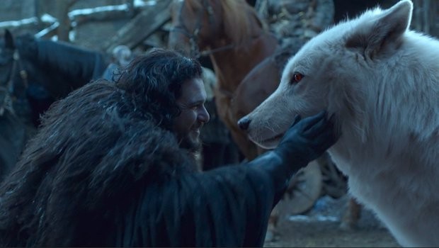 O lobo pré-histórico foi recriado por Game of Thrones (Foto: HBO / Reprodução)