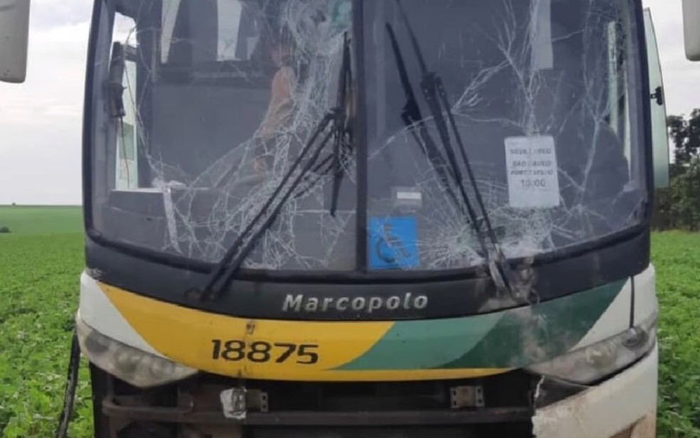 Ônibus com o para-brisa danificado depois que motorista passou mal e bateu veículo em poste na BR-354, em Jataí, Goiás — Foto: Reprodução/TV Anhanguera