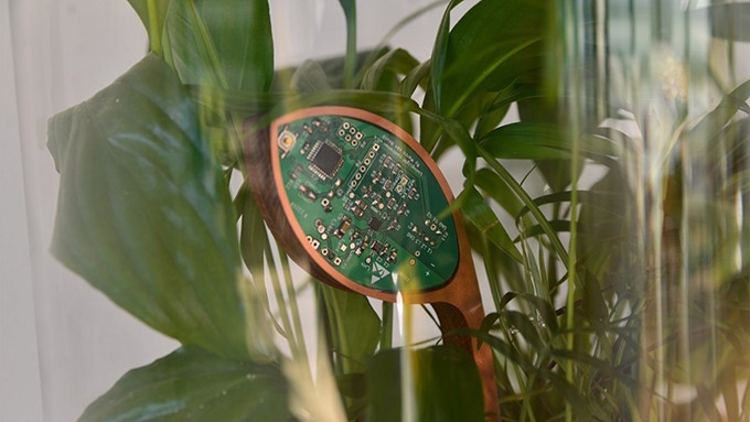 Esta lâmpada acende com a energia produzida por plantas (Foto: Divulgação)