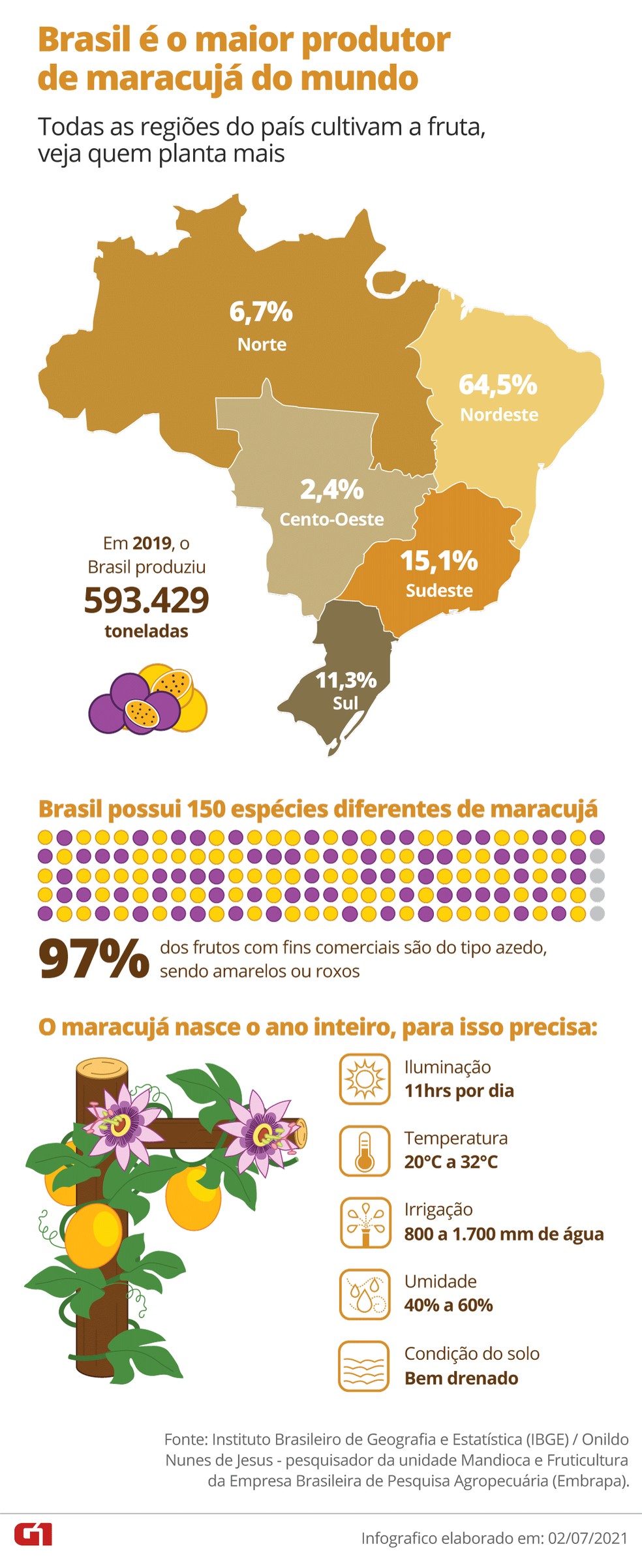 Brasil é o 3° maior produtor de frutas do mundo