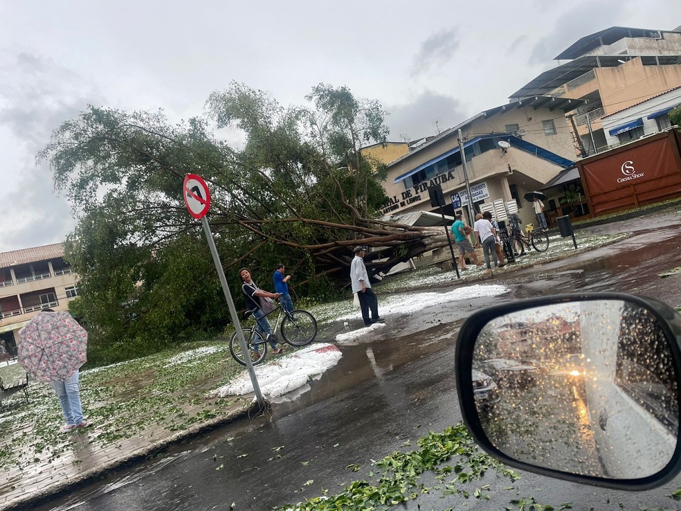 Árvore caiu na Praça de Piraúba — Foto: Reprodução/TV Integração