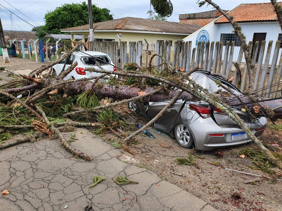 Árvore caiu sobre carro em Ponta Grossa — Foto: André Salamucha/RPC