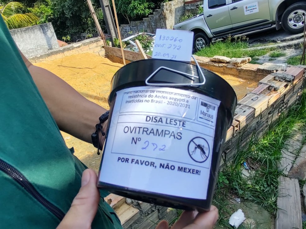 Armadilhas serão instaladas em todas as zonas de Manaus — Foto: Divulgação