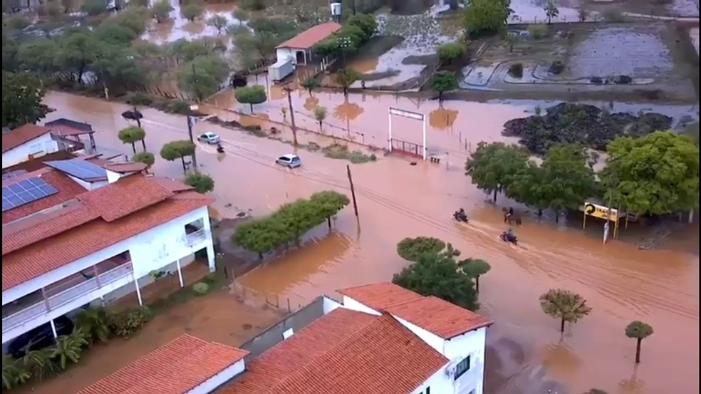 Moradores capturam jacaré após água da chuva alagar ruas de Picos, no Piauí — Foto: Reprodução