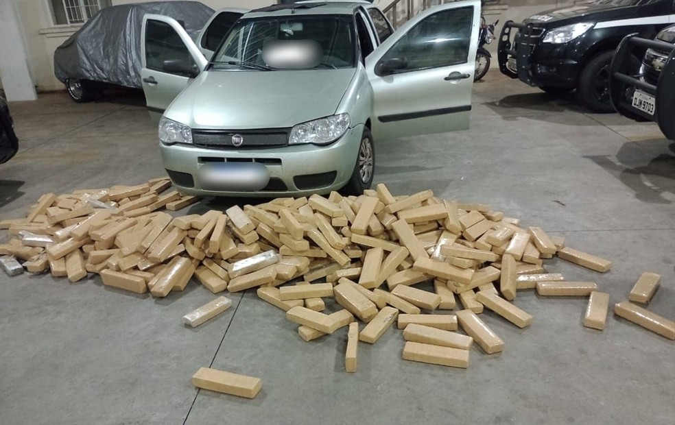 Homem é preso transportando 300 quilos de drogas em rodovia de Avaré (SP) — Foto: Polícia Civil/Divulgação