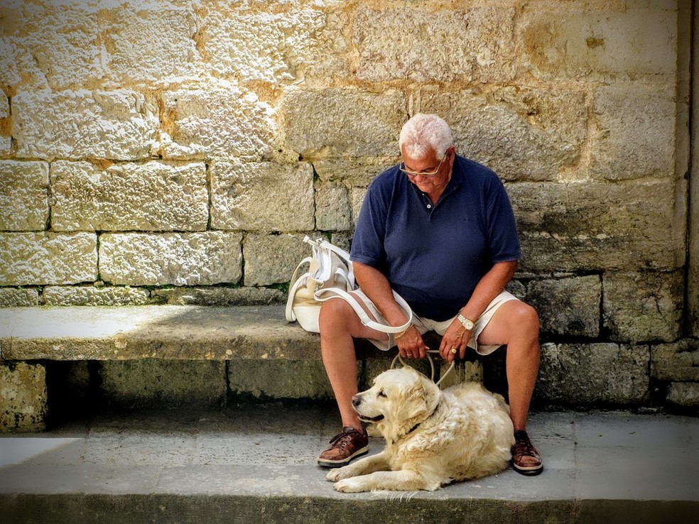  Homem com cão: pesquisas mostram que interagir com um pet diminui os níveis de cortisol, o hormônio do estresse   — Foto: Joenomias Menno de Jong por Pixabay 