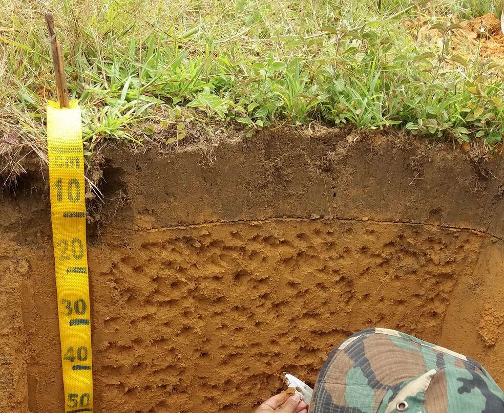 Alunos E Professor Lancam Livro Digital Com Sete Tipos De Solos Encontrados Em Cruzeiro Do Sul Ac Amazonia G1