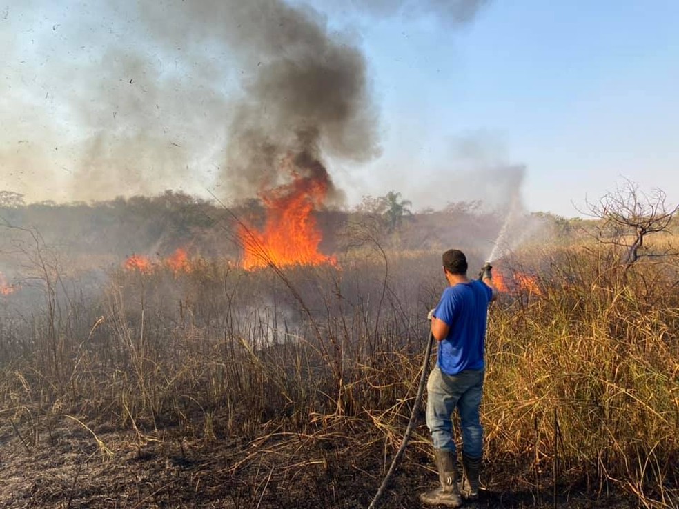 Em Getulina, o fogo atingiu a área de uma fazenda às margens da BR-153  — Foto: Defesa Civil/ Divulgação 