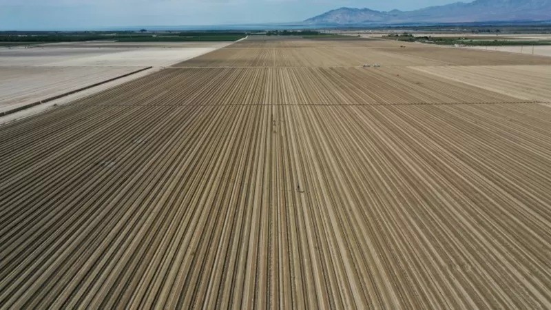 Califórnia enfrenta sua pior seca desde 1977 (Foto: Reuters via BBC News)