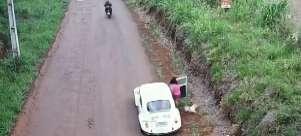 Mulher abandona cachorra às margens da estrada, em Cascavel — Foto: Câmera de monitoramento/Imagem cedida