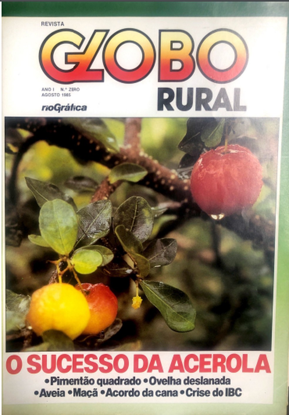 Edição n° 0 da revista Globo Rural — Foto: Rosimar Santos