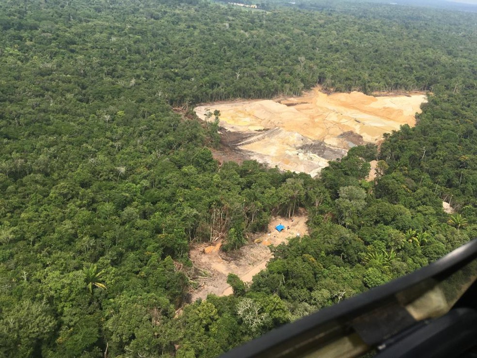 Ganga Peixoto da operação Verde Brasil 2 — Foto: Assessoria