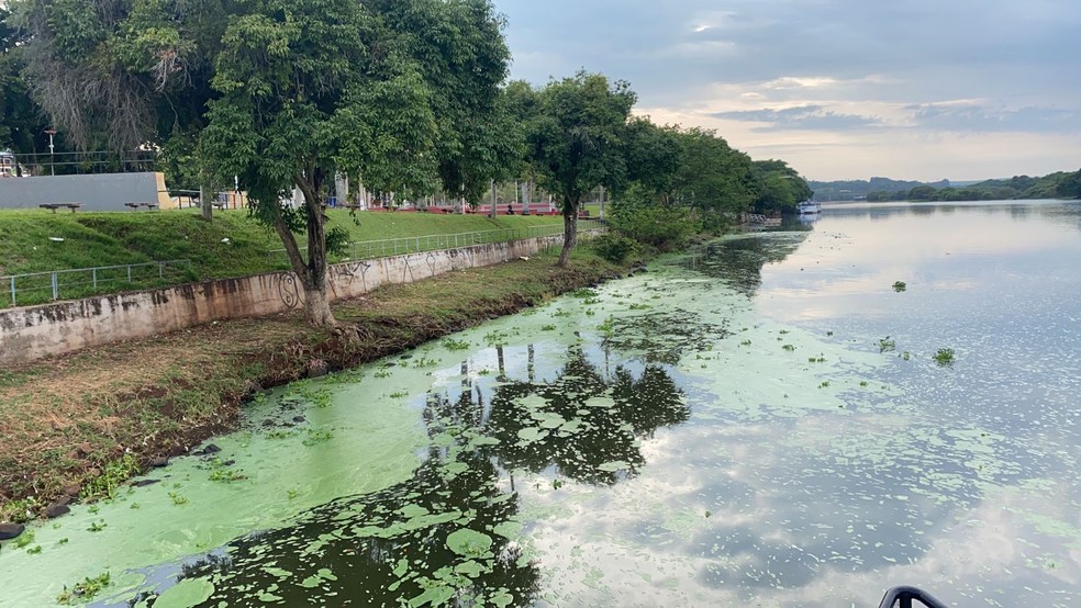 Coloração esverdeada é provocada pelo excesso de algas no rio em Barra Bonita  — Foto: Gabriela Prado/TV TEM 